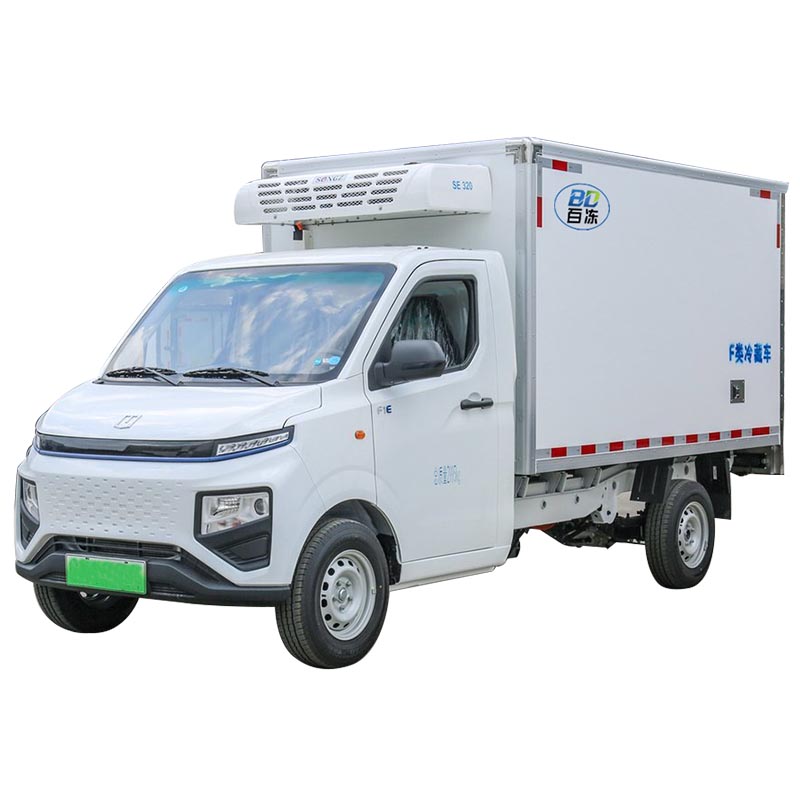 新能源冷藏车：远程 星享F1E 2023款 3T 2.98米单排纯电动冷藏车